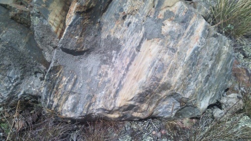 Гигантские зелёные валуны для ландшафтного дизайна весом более 5 тонн купить в Мегионе